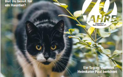 Das Jubiläums-Magazin ist da!